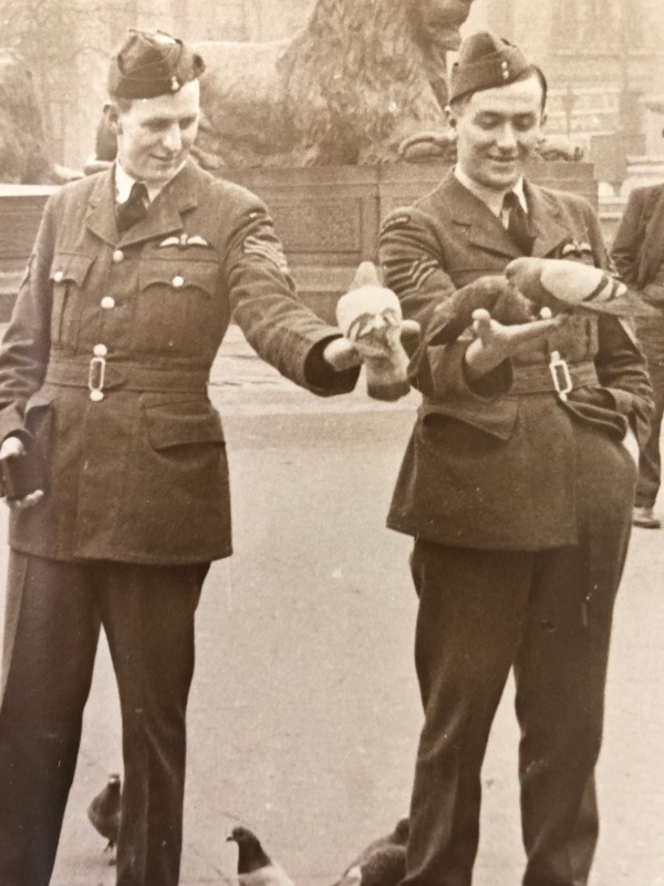 Chap 4 sights pigeons